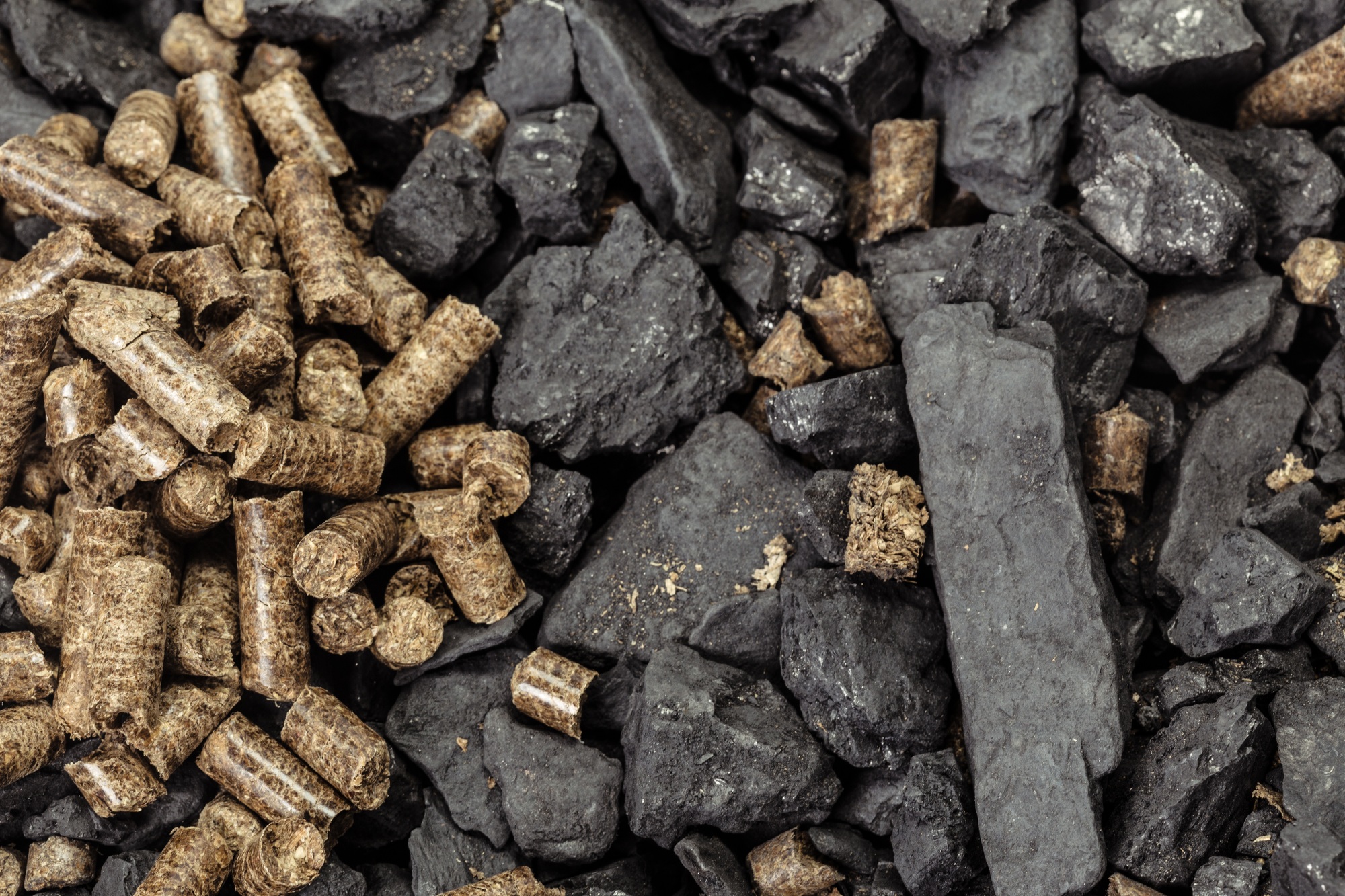 Coal and biomass pellet